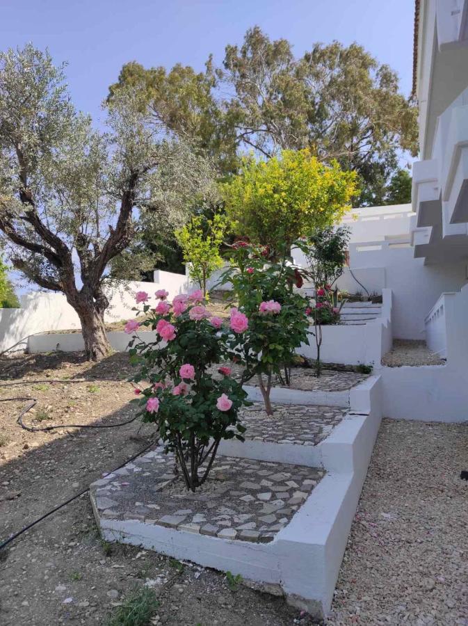 Arocaria - Faliraki Peaceful Apartments Екстериор снимка