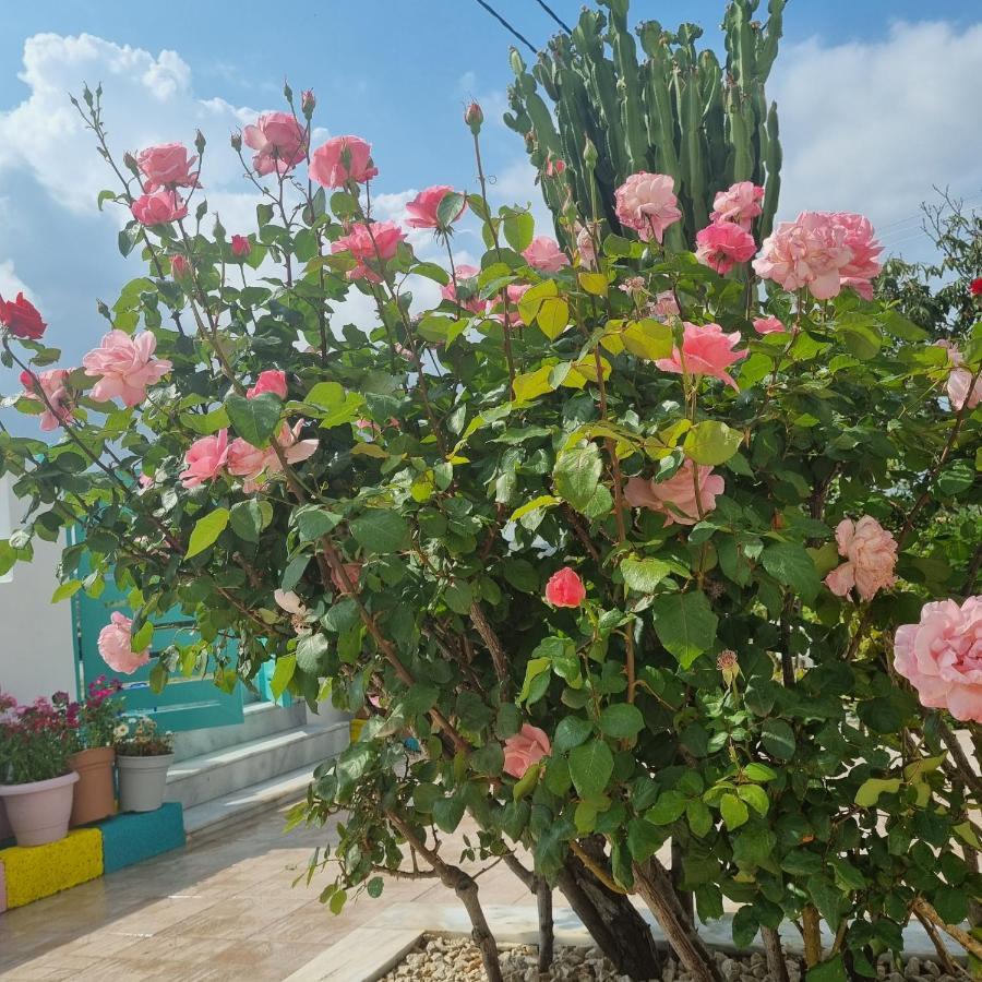 Arocaria - Faliraki Peaceful Apartments Екстериор снимка